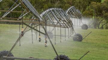 Tasmanian Irrigation is considering delegating some of its powers under a recent policy change. Picture by Phillip Biggs